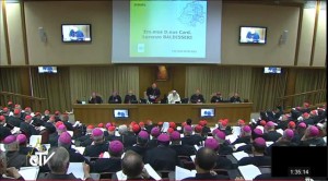 Opening of Synod 2014